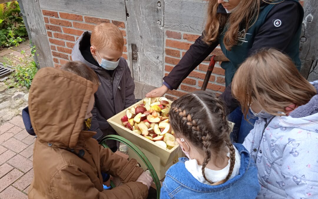 Der Apfel – Ausflug der Klasse 1 zum Kuhlhoff nach Bippen